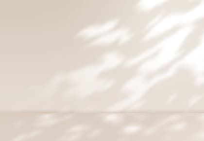 クロス張替え